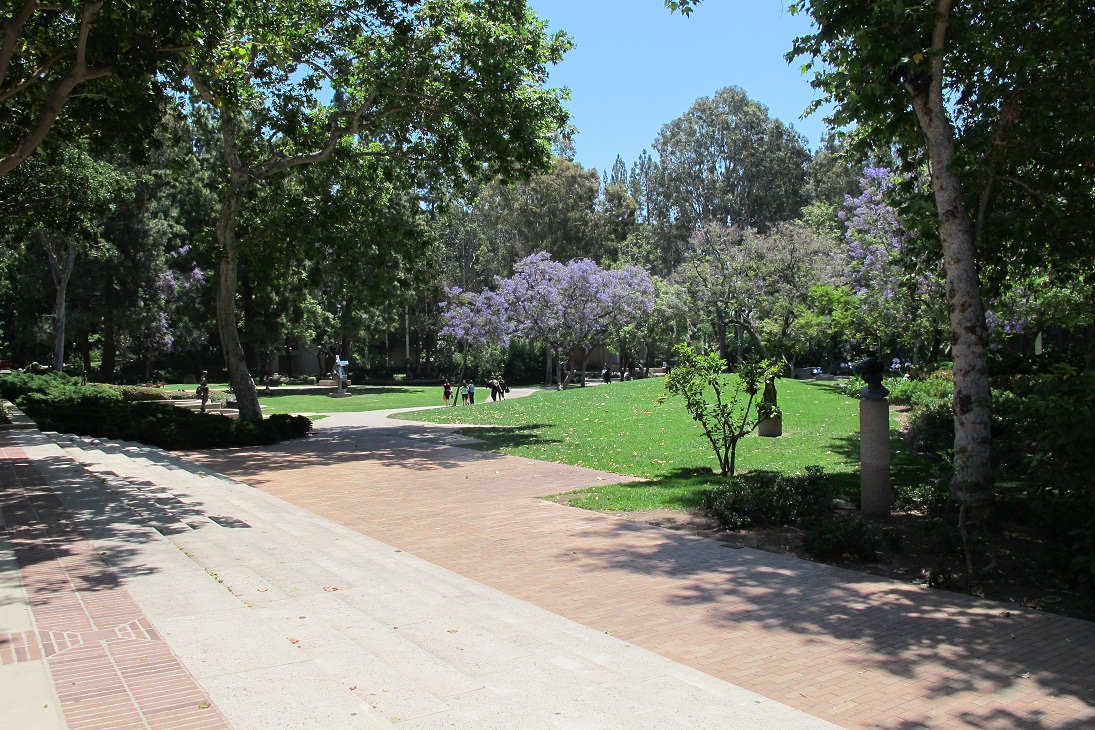 Fotografia dallo Stage Los Angeles - UCLA 2011